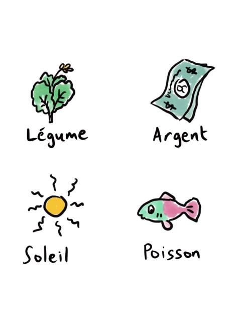 Cartes d'activité Web of Life (FR)