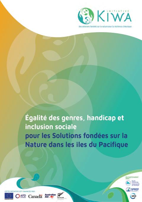 GEDSI pour les SFN FR web