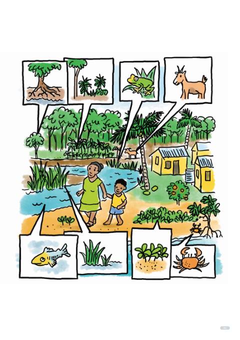 Travailler avec la nature pour l'adaptation des communautés - posters (FR)