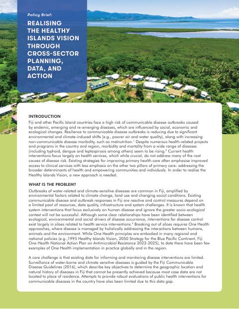 WISH+ - Policy Brief - Realising the healthy islands vision through cross-sector planning, data, and action