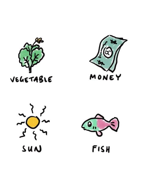 Web of Life activity cards (EN)